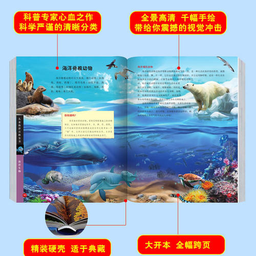 精装大绘本儿童海洋百科全书揭秘海底世界动物生物概况形成过程世界各地分部岛屿鲨鱼珊瑚海龟小学生三四五年级课外书必读老师推荐 - 图0