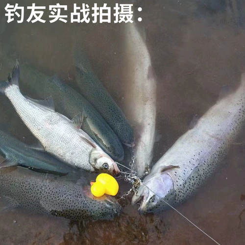 Luya Live Fish Buckle Lock Fish Ware Buckle Bunn