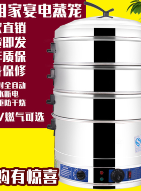 电蒸锅多功能家用商用商用大容量