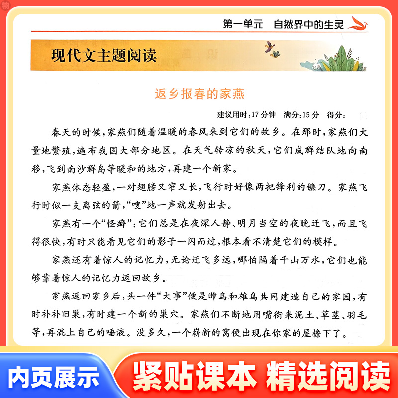 【浙江专版】2025新版小学语文凤凰阅读能力测评一二三四五六年级课内外阅读理解专项训练书B版下册A版上册木头马阅读高效训练88篇