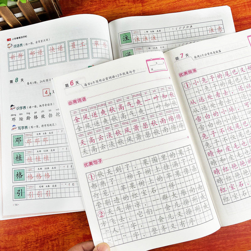 一二三年级语文寒假练字帖看拼音写词语生字组词造句笔画笔顺练写