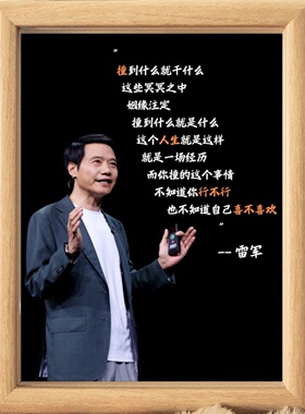 雷军语录相框摆台送朋友送领导