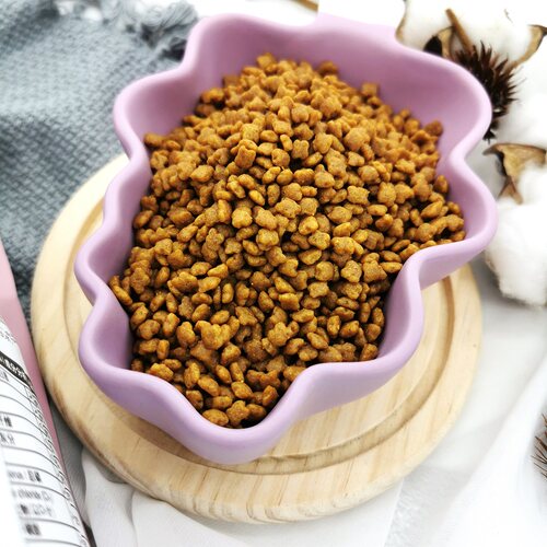 皇家猫粮BK34奶糕10公斤孕猫繁育母猫粮营养通用猫咪幼猫猫粮10kg - 图0