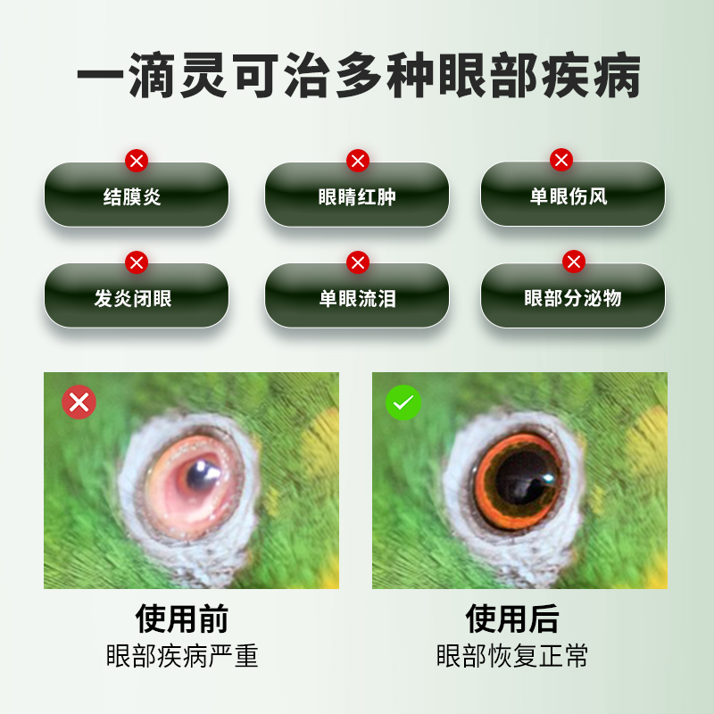 法威尔鹦鹉鸟专用药单眼伤风鸽药一滴灵眼睛红肿流泪结膜炎专用品 - 图0