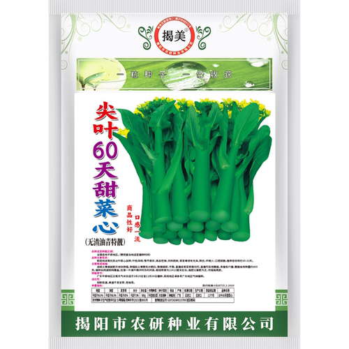 揭美尖叶60天甜菜心种子 甜脆无渣油青甜菜心 阳台农业蔬菜种子 - 图2