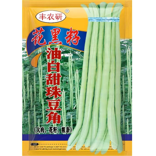 珠仔油白豆角王种子 大肉甜豆角厚肉好吃豆角 猪仔花黑籽豇豆种子 - 图3
