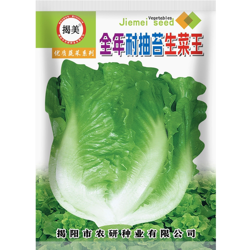 揭美10克意太利生菜种子 生菜籽 农业大田种植 阳台园艺盆栽 - 图3