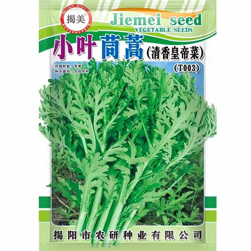 皇帝菜小叶茼蒿种子 花叶茼蒿菜籽  秋播蔬菜种子 易种农业菜籽 - 图3