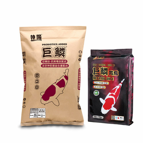 神阳巨鳞锦鲤饲料巨鳞骨霸王者红白三色增色增体比赛级专业鱼粮 - 图3