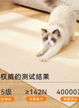 猫抓板耐磨不掉屑立式墙贴转角自粘防猫抓沙发保护贴猫咪攀爬垫