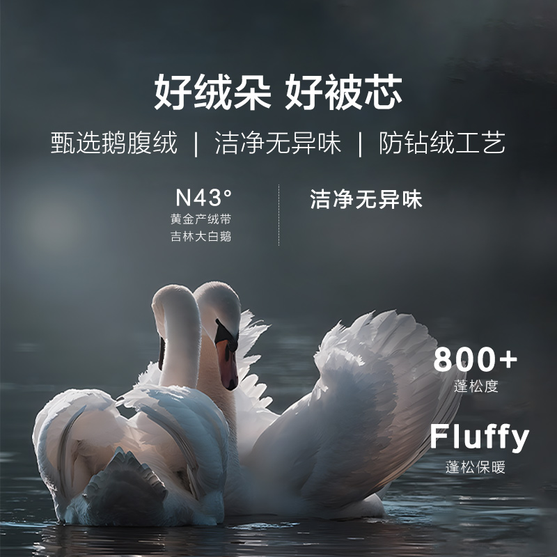 南方寝饰羽绒被95白鹅绒冬季加厚保暖a类抗菌鹅绒被子被芯冬被