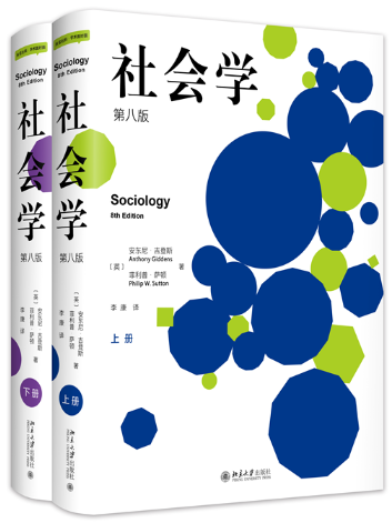 【正版包邮】社会学入门套装共3册（社会学上下册+社会学基本概念）作者:安东尼·吉登斯,菲利普と� 著, 李康 译 北京大学出版社 - 图0