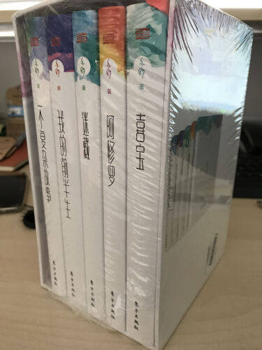 亦舒喜宝精装系列五册 亦舒作品集 喜宝 我的前半生 迷藏 阿修罗 一个复杂的故事 青春文学情感励志书籍 都市情感小说女性读物 - 图2