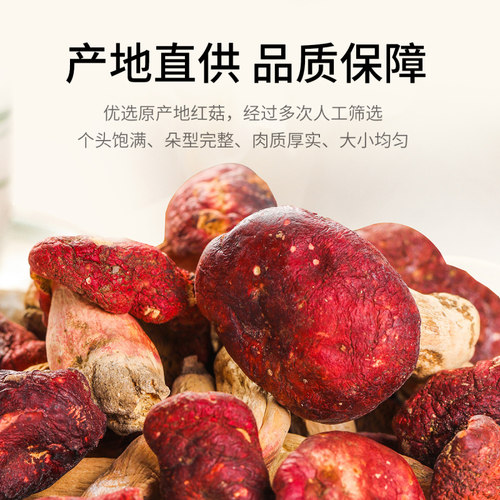 金唐红菇125g福建武夷山非人工种植特产级菇土特产干货红蘑菇煲汤 - 图2