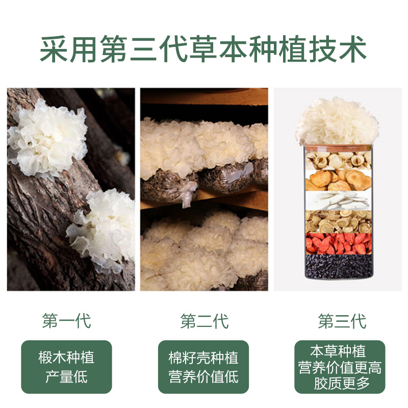 金唐旗舰店金唐鲜活本草银耳新鲜雪耳白木耳特产级非干货古田银耳莲子羹材料0