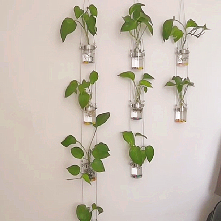创意轻奢玻璃水培花瓶绿植隔断家居幼儿园植物风铃墙上装饰品挂件,淘宝优惠券,粉丝福利购,淘宝优惠卷
