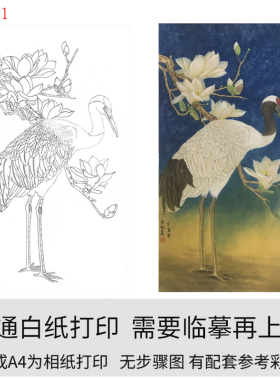 国画工笔画打印白描底稿花鸟竖幅初学者临摹勾线上色过稿练习