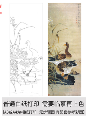 国画工笔画打印白描底稿陈之佛花鸟竖幅初学者临摹勾线上色练习