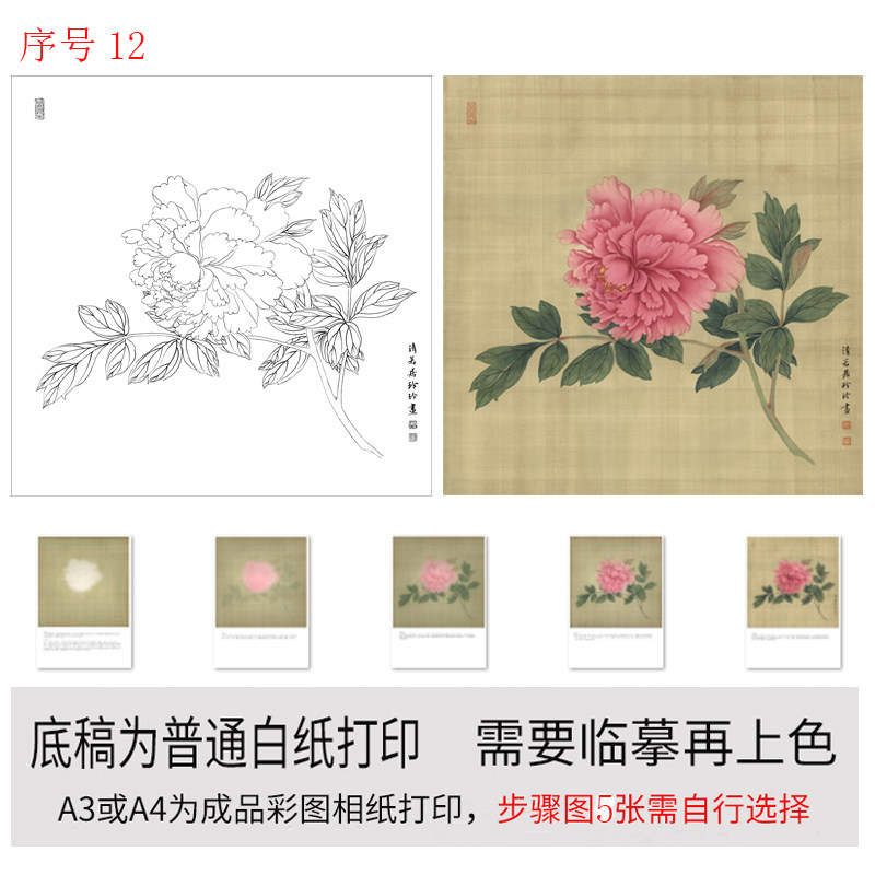有步骤图工笔画打印白描底稿没骨牡丹用于初学者临摹勾线练习上色,淘宝优惠券,粉丝福利购,淘宝优惠卷