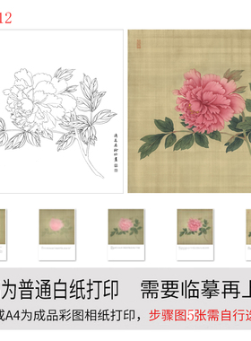 有步骤图工笔画打印白描底稿没骨牡丹用于初学者临摹勾线练习上色