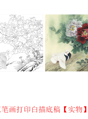 国画工笔画打印白描底稿斗方花鸟初学者临摹勾线过稿练习上色