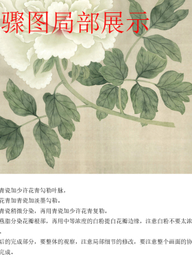 国画工笔画打印白描底稿斗方四尺小品初学者临摹勾线过稿练习上色