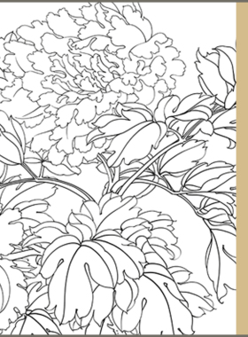 工笔画底稿竖幅小品墨撒金牡丹花卉高清打印稿线描初学者临摹