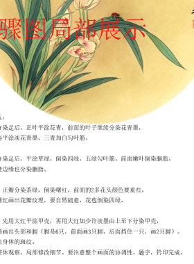 (有步骤)工笔画打印白描底稿郑玲玲圆形牡丹鱼初学者临摹勾线练习
