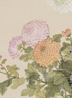 工笔画打印白描底稿竖幅没骨菊花图高清线描用于初学者临摹创作