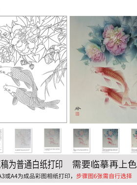 白描底稿工笔画芙蓉鲤鱼