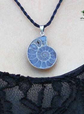 化石天然项链坠斑彩螺