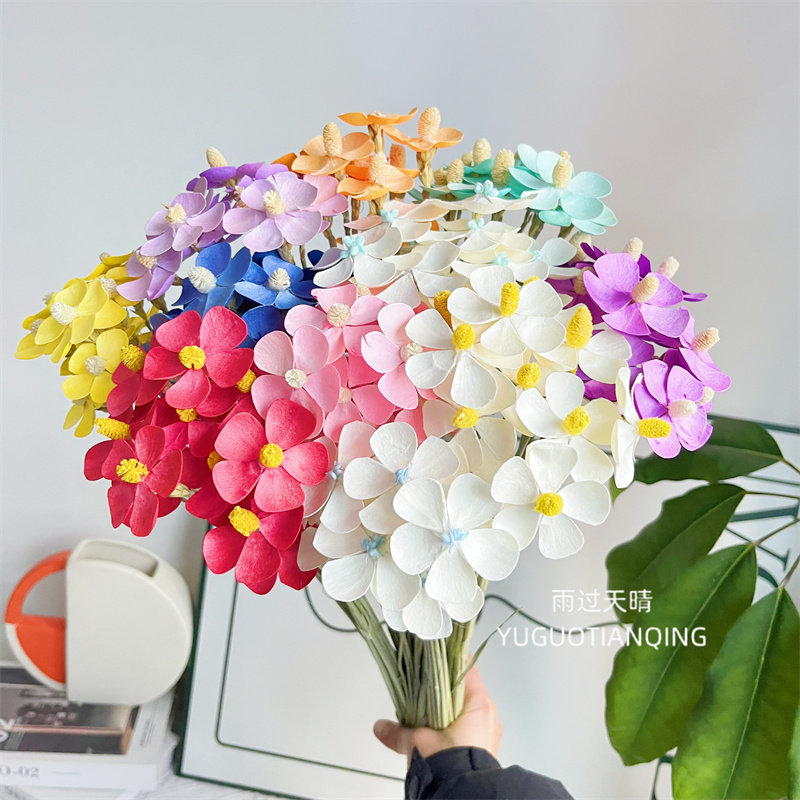 云南天然干花白色永生紫罗兰永生花蝴蝶兰家居软装花瓶插花五瓣花