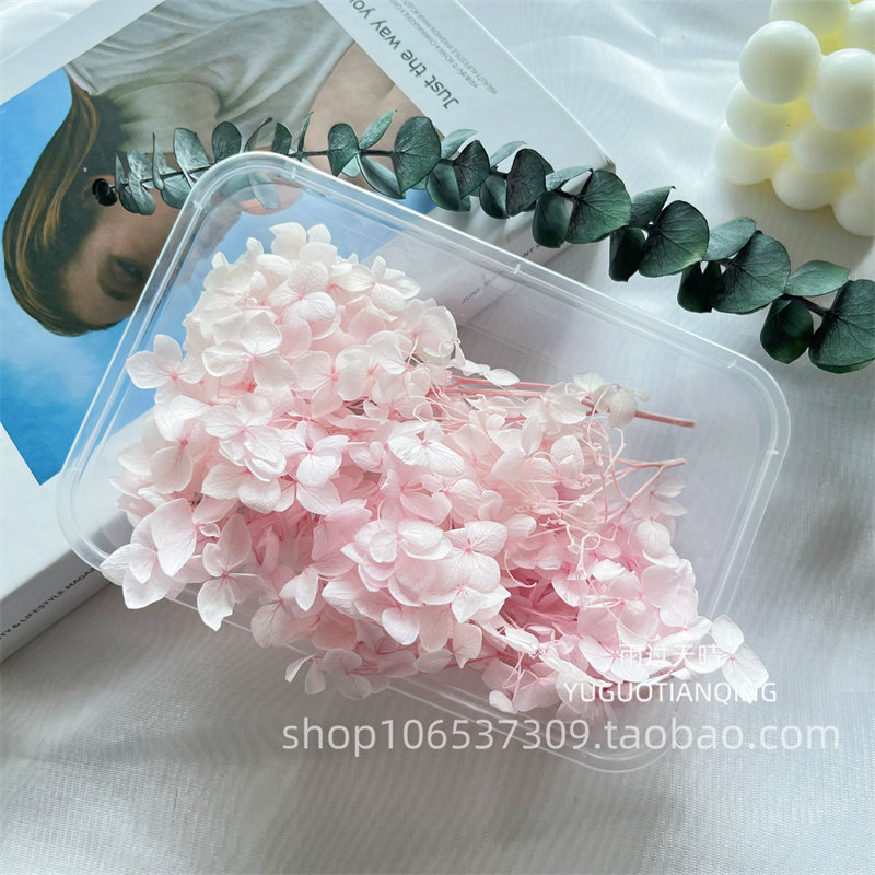 永生花绣球散装花瓣DIY材料玻璃罩亚克力盒子绣球优质A级永生绣球,淘宝优惠券,粉丝福利购,淘宝优惠卷