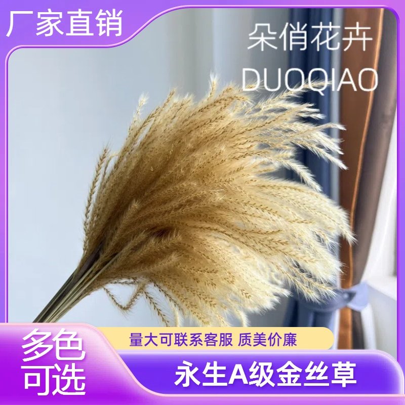 拂尘芦苇干花花束小芦苇金丝草天然干花瓶插花花束配花家居装饰,淘宝优惠券,粉丝福利购,淘宝优惠卷
