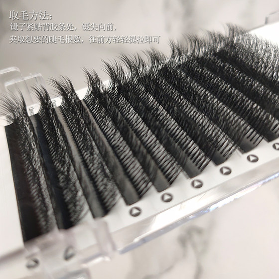 Multi-layered wild camellia 5D three-dimensional fluffy eyelashes