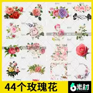 玫瑰花图片背景图推荐品牌 新人首单立减十元 21年6月 淘宝海外