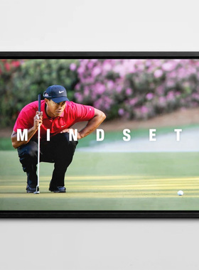 装饰画有框挂画墙壁画高尔夫球老虎伍兹GOLF运动场体育健身WOODS