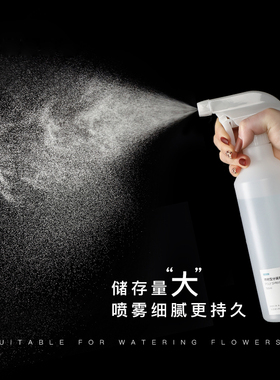 大容量浇花喷壶园艺家用办公消毒