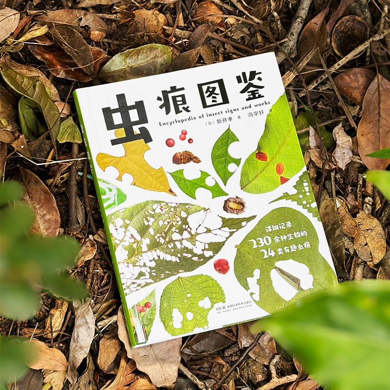 图5