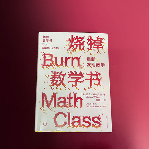 【 官方正版】烧掉数学书 重新发明数学(美)杰森威尔克斯著唐璐译自然科学数学理论创造性科学技书全新概念数学科普原力出品 - 图2