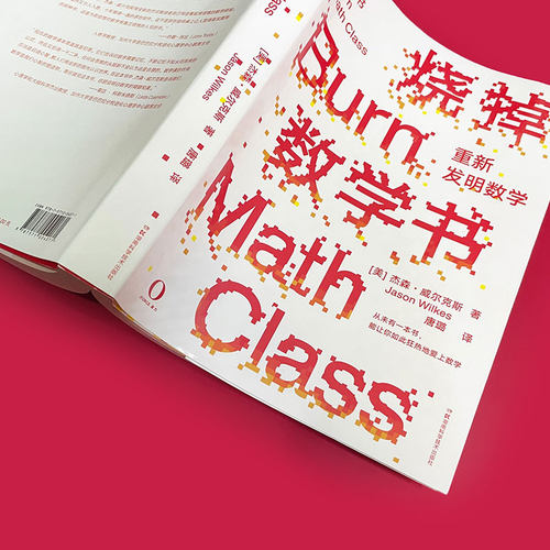 【 官方正版】烧掉数学书 重新发明数学(美)杰森威尔克斯著唐璐译自然科学数学理论创造性科学技书全新概念数学科普原力出品 - 图1