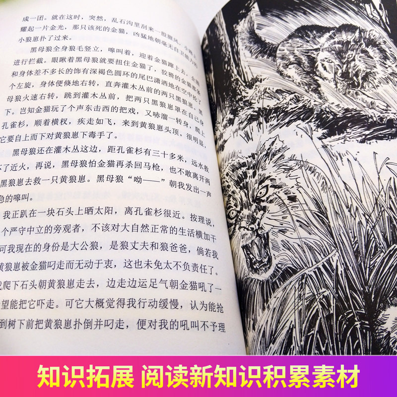 正版 斑羚飞渡 动物小说大王沈石溪品藏书系狼王梦青少年课外书8-10-12-15周岁四五六年级小学生课外阅读书籍必读经典书目儿童读物,淘宝优惠券,粉丝福利购,淘宝优惠卷