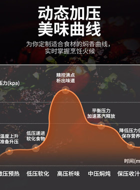 雅乐思6L大容量多功能电压力锅