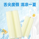 Arctic Yuanyang double stick ice cream milk flavor double childhood internet celebrity ice cream popsicle wholesale