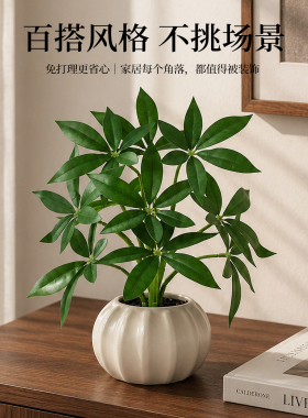 高级感仿真绿植植物盆栽桌面摆件