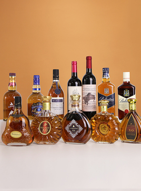 洋酒瓶空瓶摆件装饰品创意仿真红酒瓶子拍照道具高档酒柜轻奢摆设