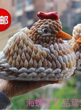包邮天然海螺贝壳工艺品情侣鸳鸯
