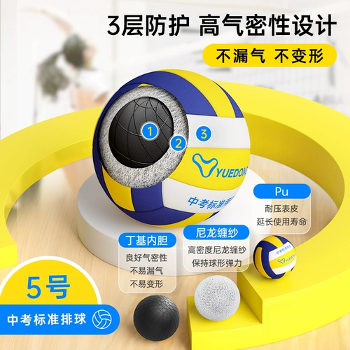 跃动 № 5 старшеклассника старших классов средней школы Стандартный экзамен