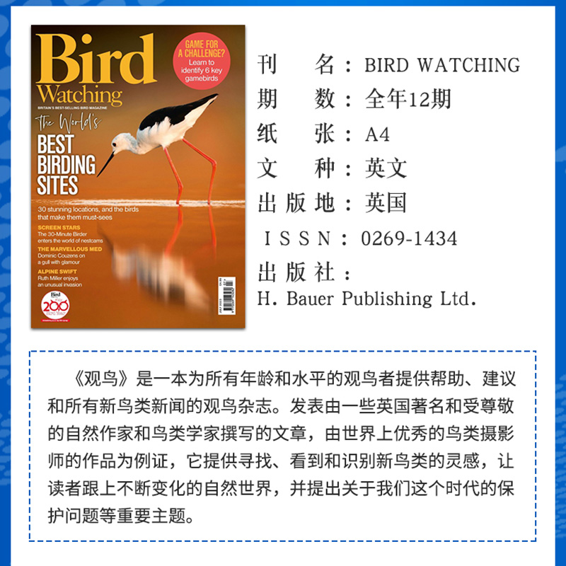 【单期/订阅】Bird Watching观鸟年订阅12期英国鸟类观察观赏杂志英语英文国外期刊-图1