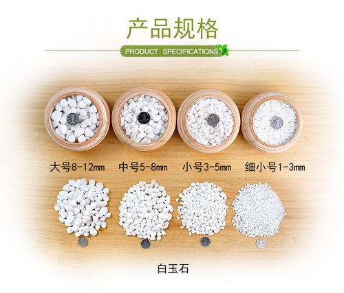 小白石子白玉石雨花石鹅卵石园艺盆栽石头多肉铺面石鱼缸造景铺院 - 图3
